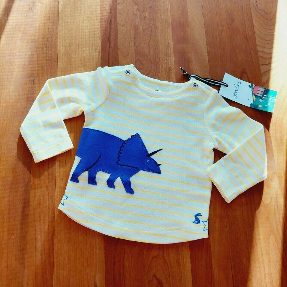 NWT Joules Harbor Artwork Dinosaur Stripe Cotton Top 6-9 M  18-21 lb